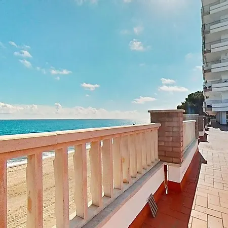 Genieten Op Het Miami Playa